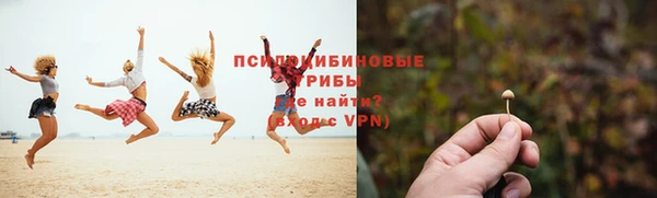 ПСИЛОЦИБИНОВЫЕ ГРИБЫ Верея