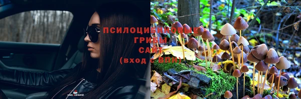 ПСИЛОЦИБИНОВЫЕ ГРИБЫ Верея