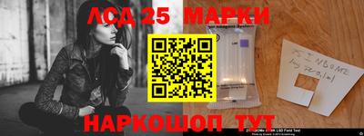 гидропоника Донской