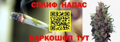 гидропоника Донской