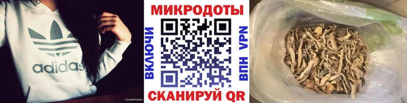 Псилоцибиновые грибы Psilocybine cubensis где найти Можайск