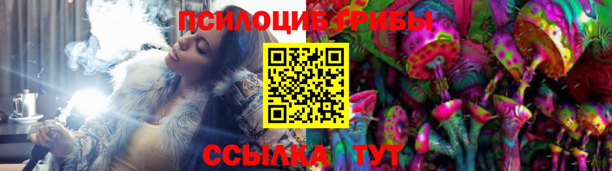 Псилоцибиновые грибы Psilocybine cubensis Можайск